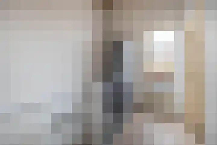 Lisdodde 38 Tegelen thumbnail 17