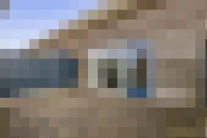 Lisdodde 38 Tegelen thumbnail 20