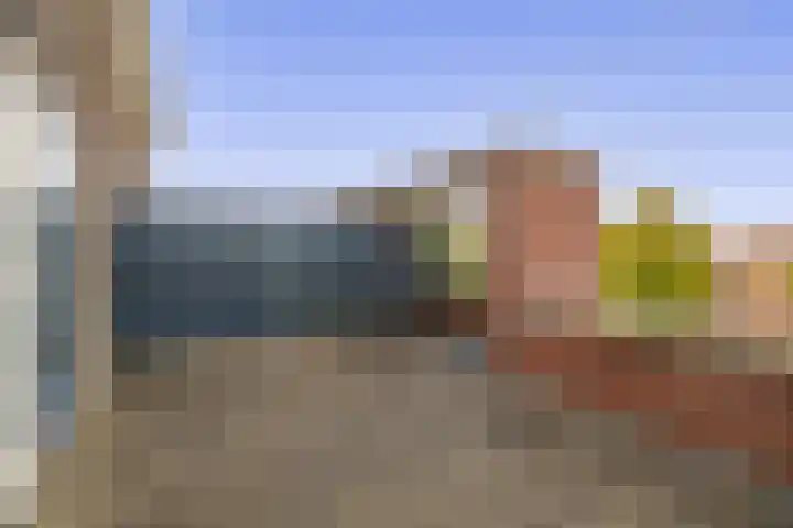 Lisdodde 38 Tegelen thumbnail 21