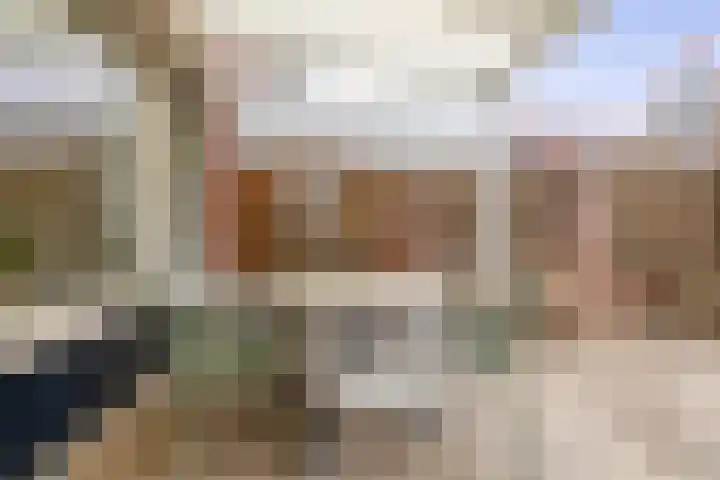 Lisdodde 38 Tegelen thumbnail 23