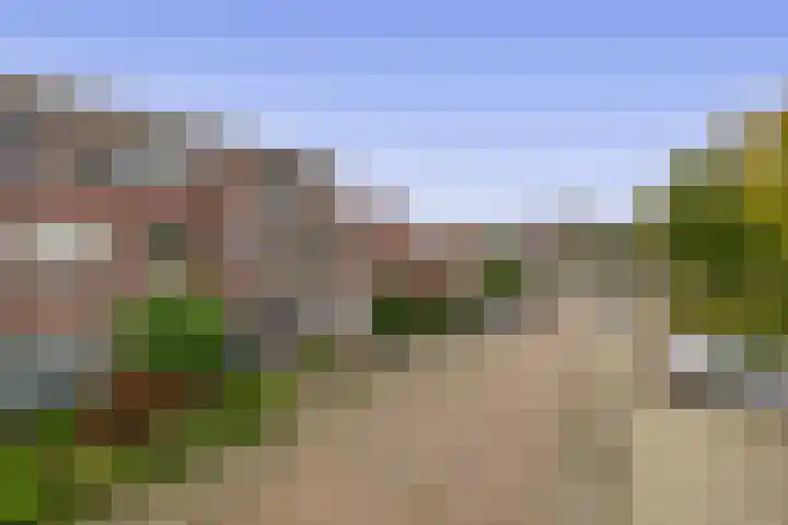 Lisdodde 38 Tegelen thumbnail 26
