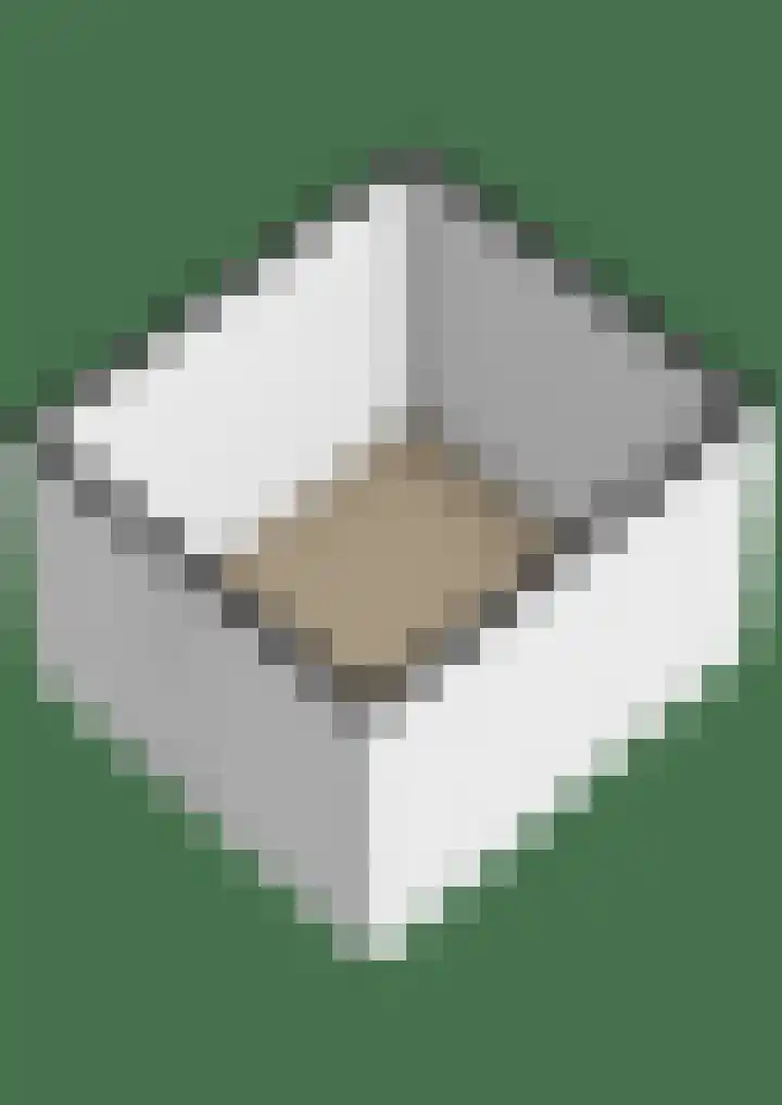 Lisdodde 38 Tegelen thumbnail 34