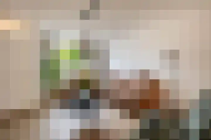 Lisdodde 38 Tegelen thumbnail 4