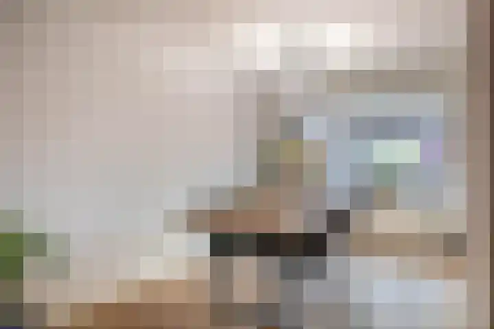 Lisdodde 38 Tegelen thumbnail 6