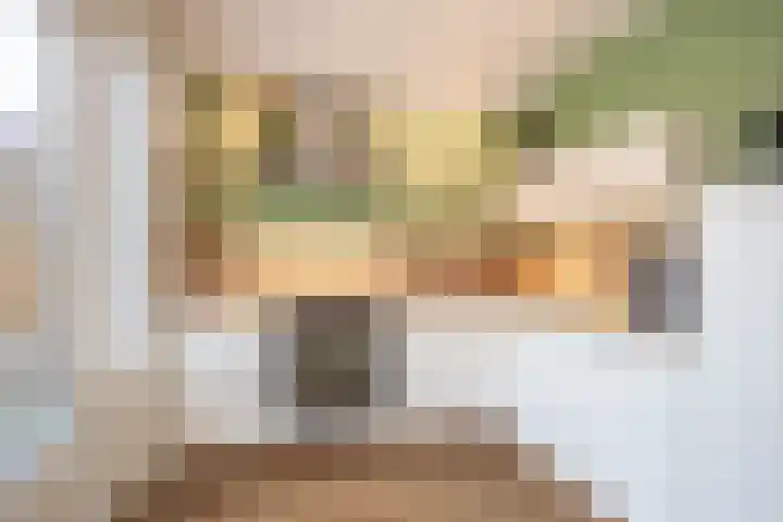 Lisdodde 38 Tegelen thumbnail 7