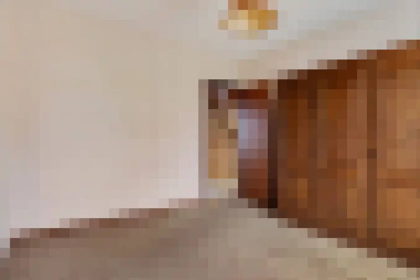 Lisdodde 40 Genemuiden thumbnail 19