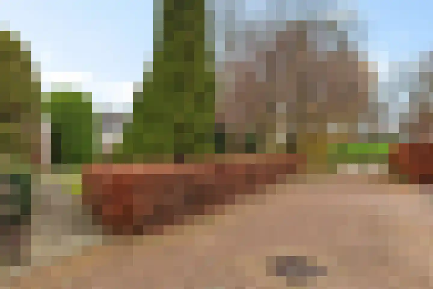 Lisdodde 40 Genemuiden thumbnail 21