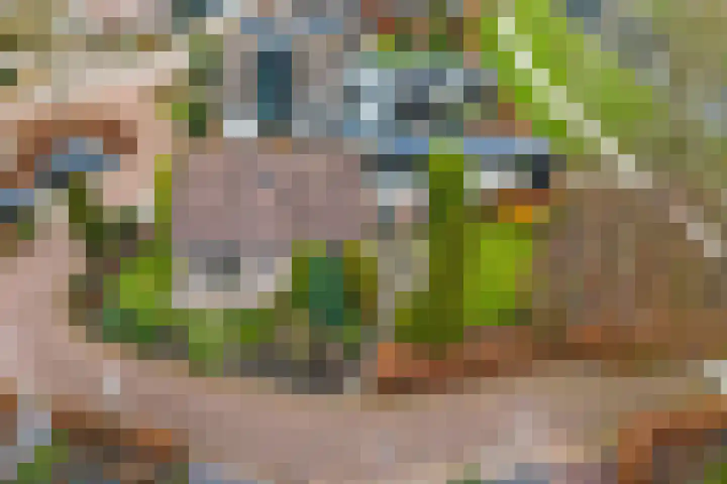 Lisdodde 40 Genemuiden thumbnail 22