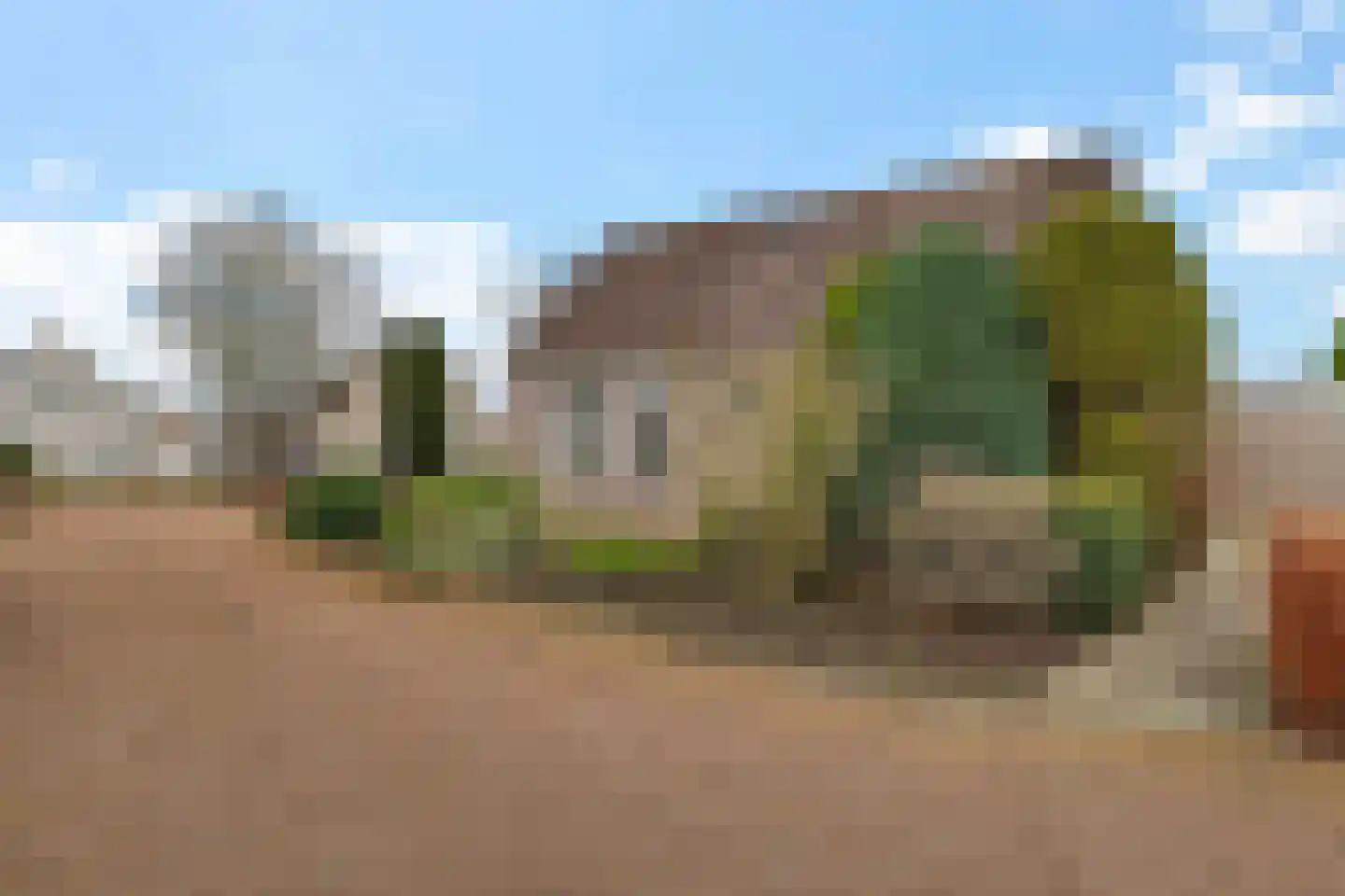 Lisdodde 40 Genemuiden thumbnail 23