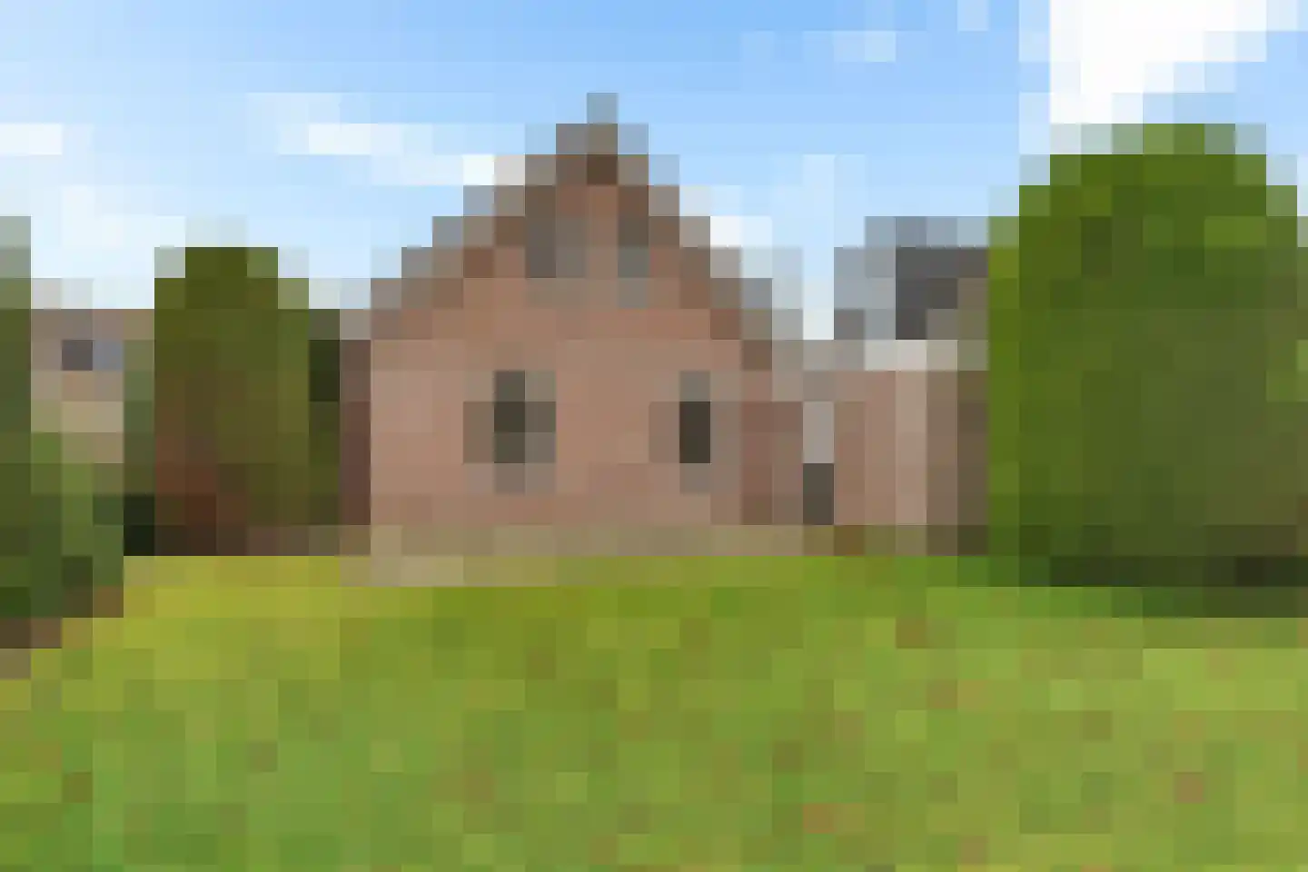 Lisdodde 40 Genemuiden thumbnail 24