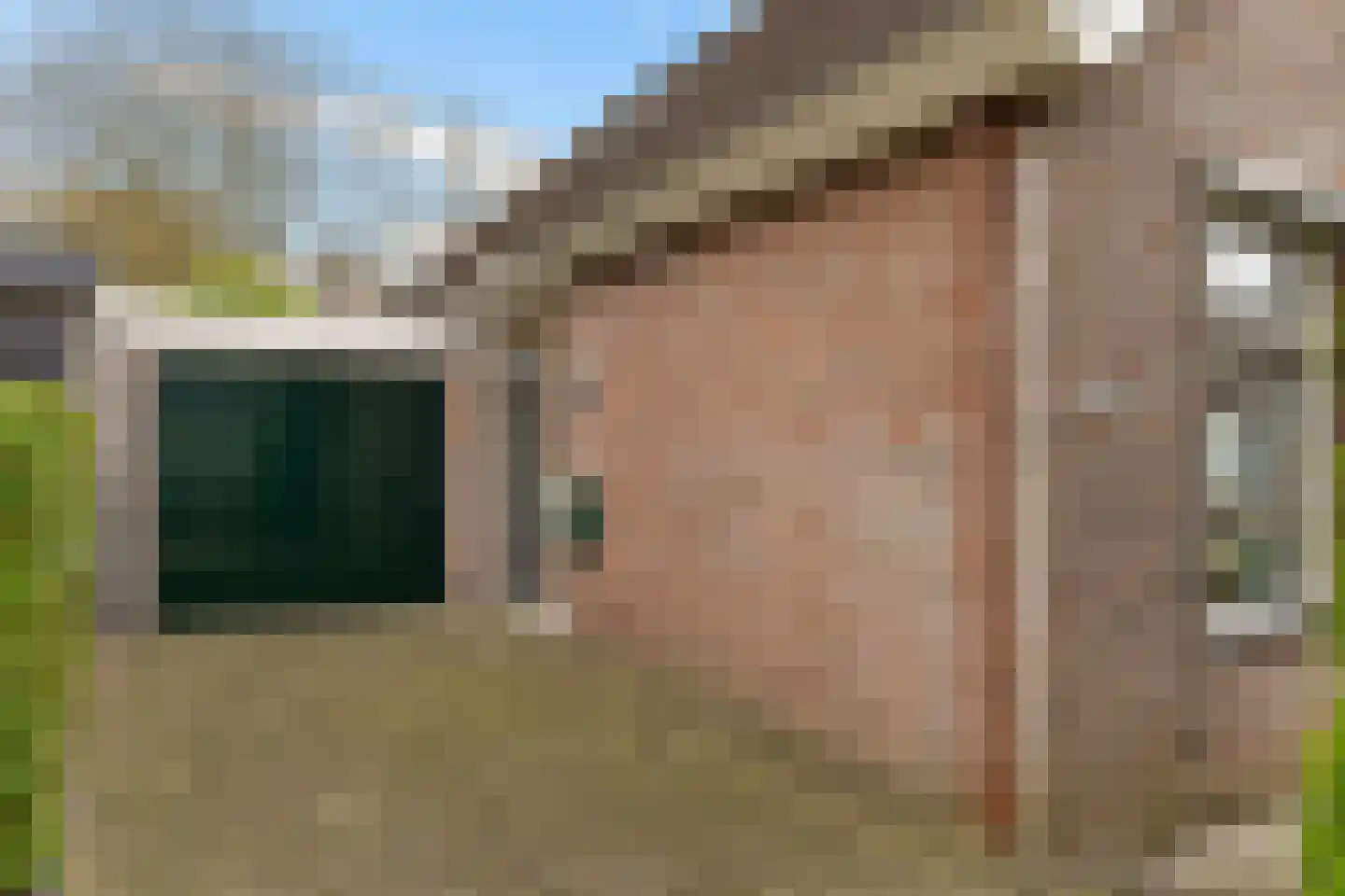 Lisdodde 40 Genemuiden thumbnail 28