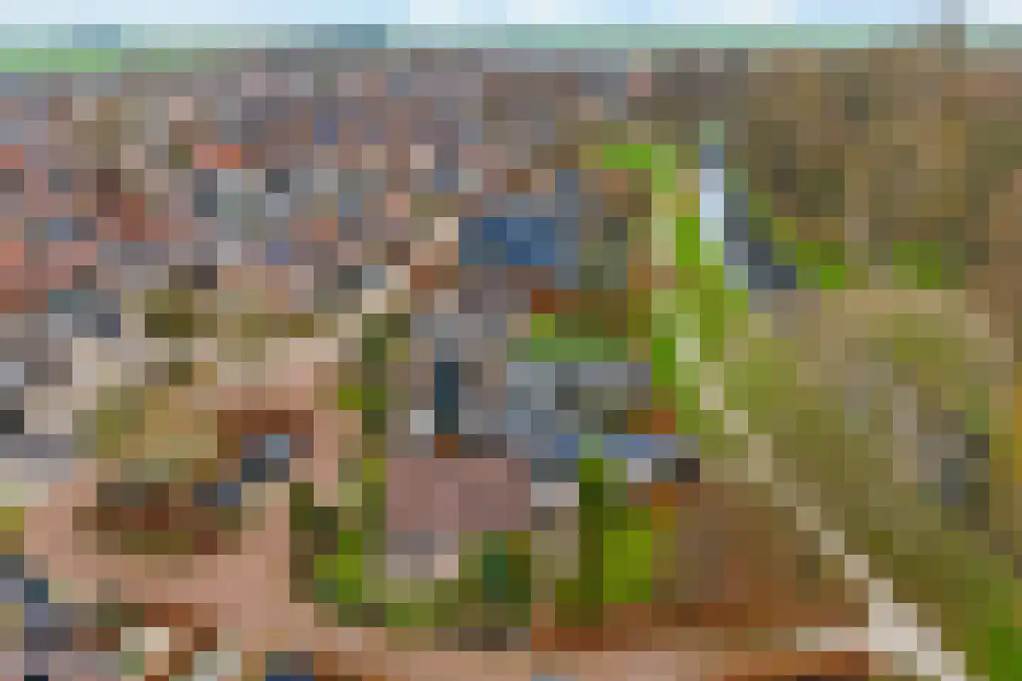Lisdodde 40 Genemuiden thumbnail 4