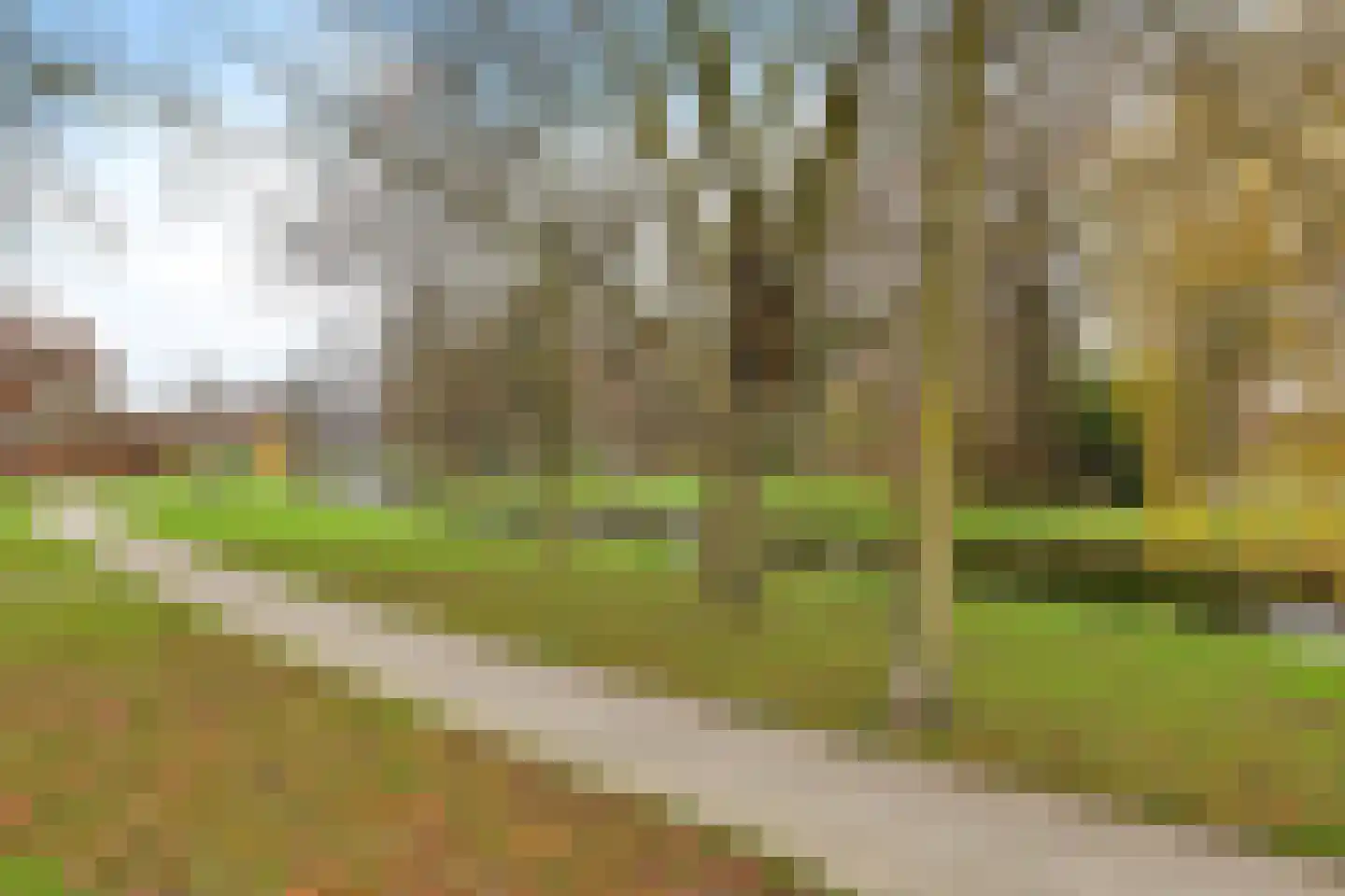 Lisdodde 40 Genemuiden thumbnail 6