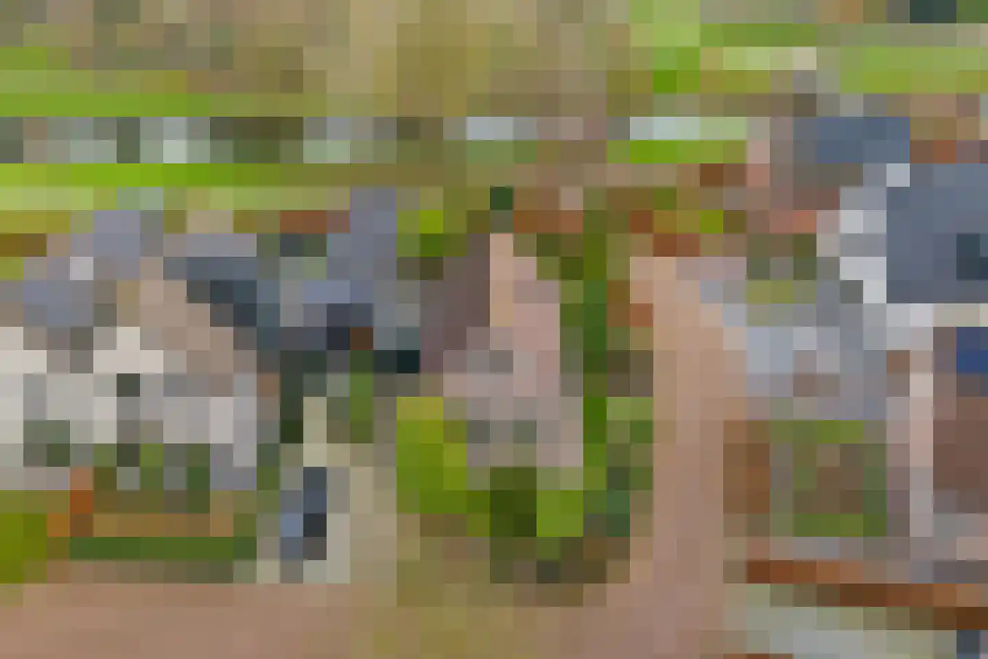 Lisdodde 40 Genemuiden thumbnail 7