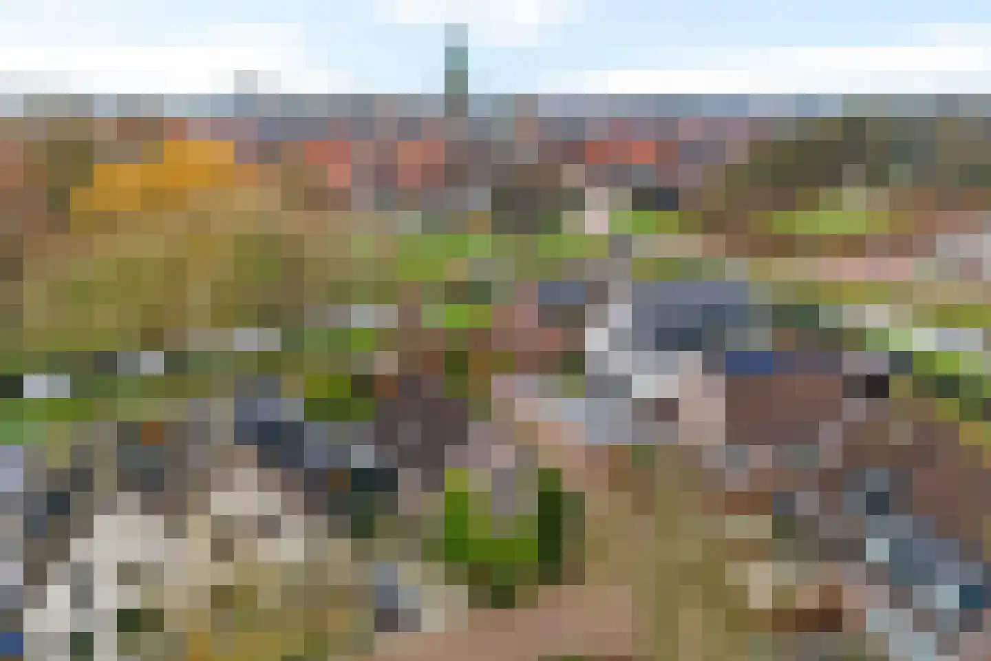 Lisdodde 40 Genemuiden thumbnail 8