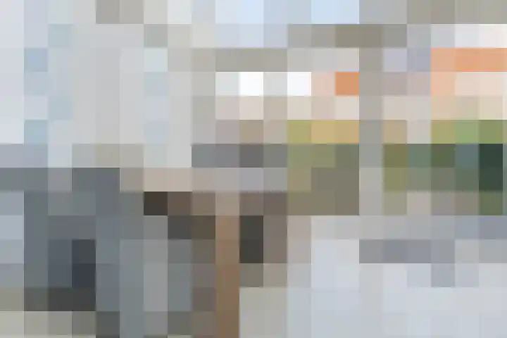Lisdodde 40 Naaldwijk thumbnail 10