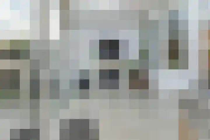 Lisdodde 40 Naaldwijk thumbnail 11