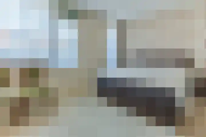 Lisdodde 40 Naaldwijk thumbnail 13