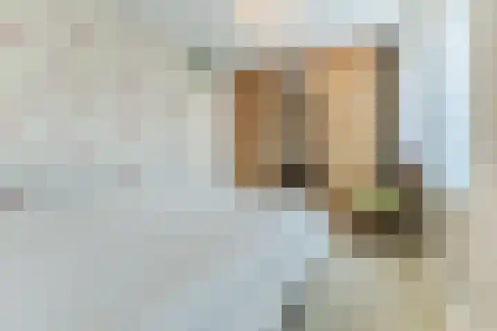 Lisdodde 40 Naaldwijk thumbnail 14