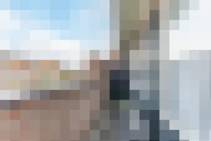 Lisdodde 40 Naaldwijk thumbnail 15