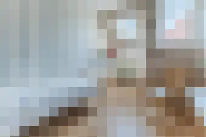 Lisdodde 40 Naaldwijk thumbnail 16