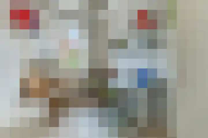 Lisdodde 40 Naaldwijk thumbnail 18