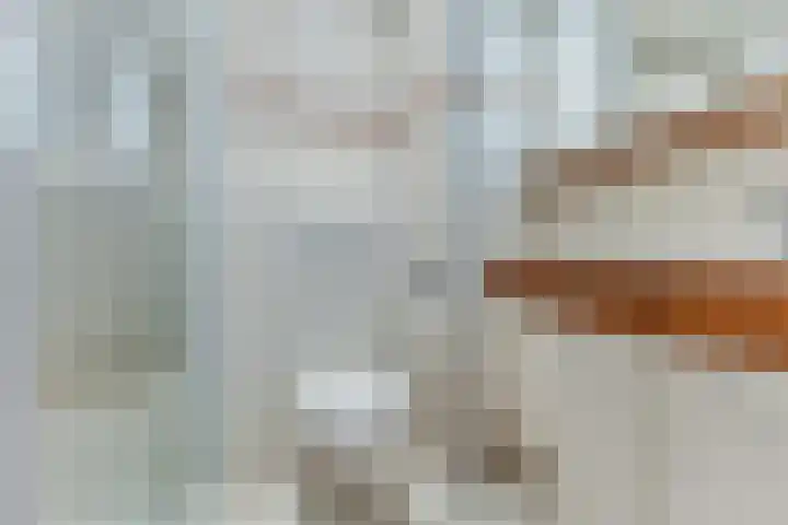 Lisdodde 40 Naaldwijk thumbnail 19