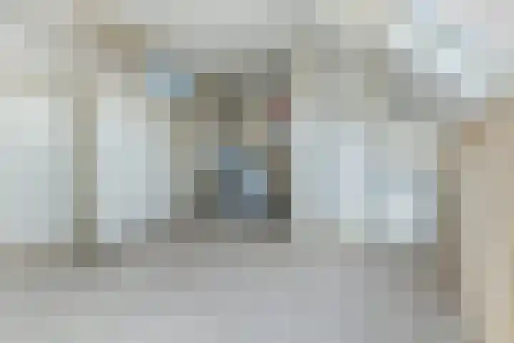 Lisdodde 40 Naaldwijk thumbnail 23