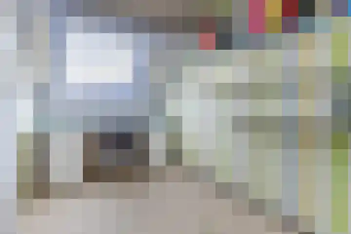 Lisdodde 40 Naaldwijk thumbnail 25