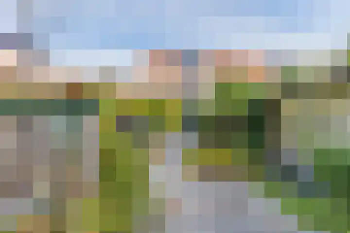Lisdodde 40 Naaldwijk thumbnail 27