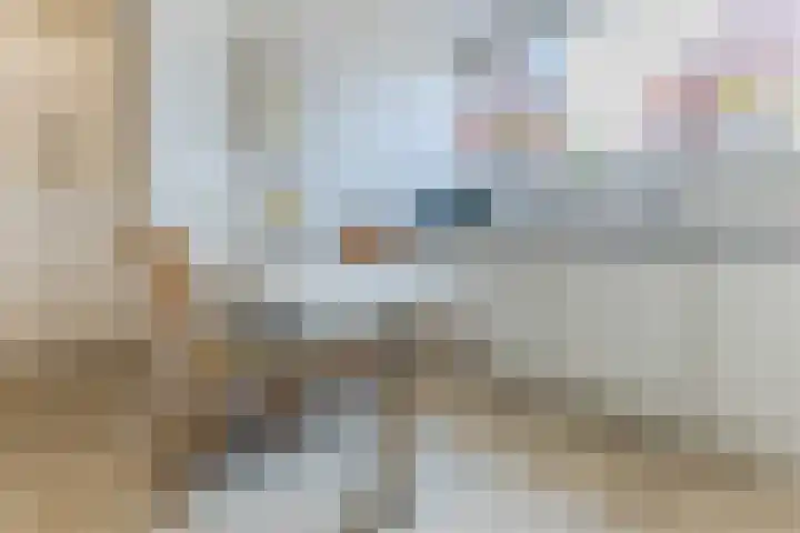 Lisdodde 40 Naaldwijk thumbnail 6