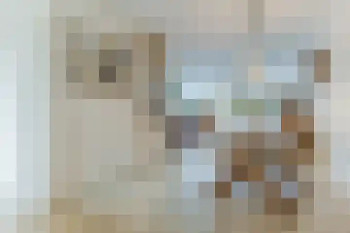Lisdodde 40 Naaldwijk thumbnail 8