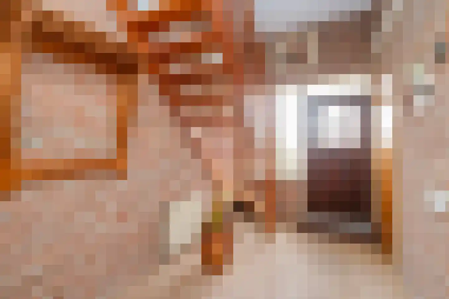Lisdodde 46 Genemuiden thumbnail 11