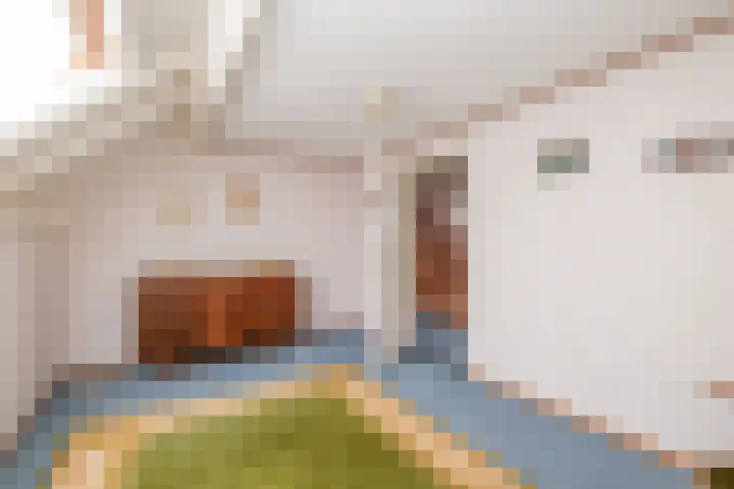 Lisdodde 46 Genemuiden thumbnail 31