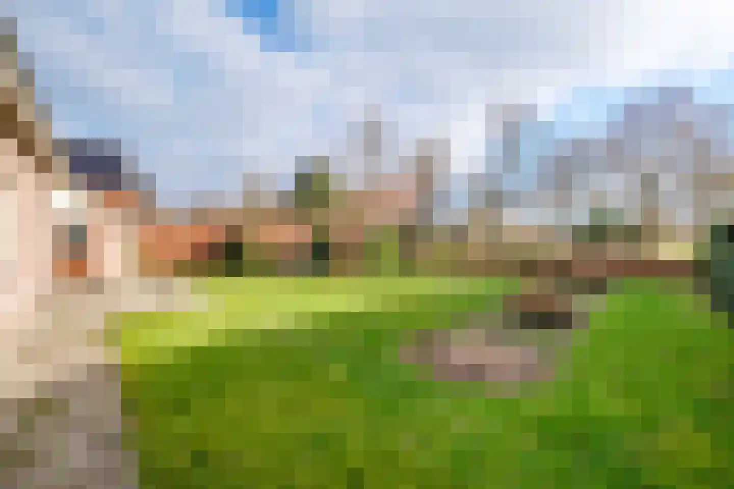 Lisdodde 46 Genemuiden thumbnail 38