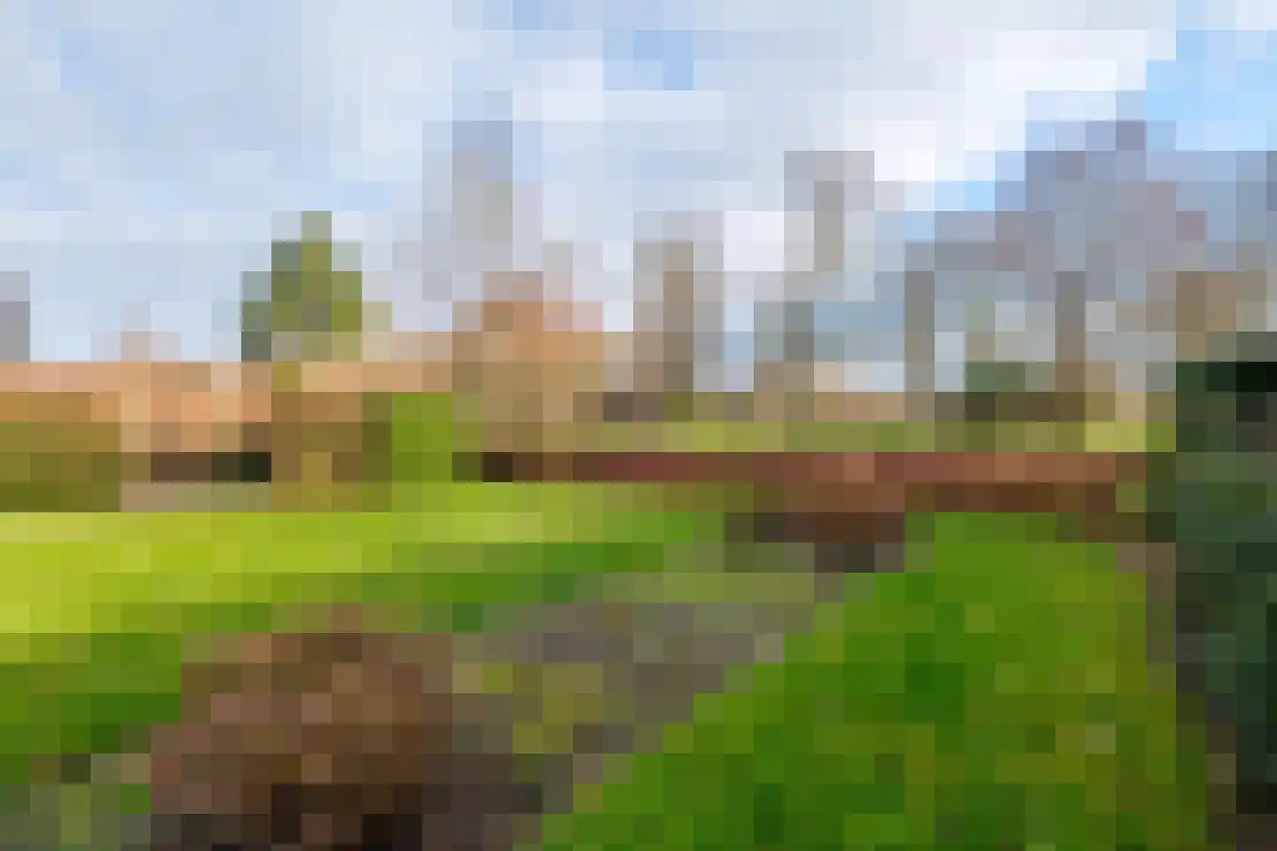 Lisdodde 46 Genemuiden thumbnail 39