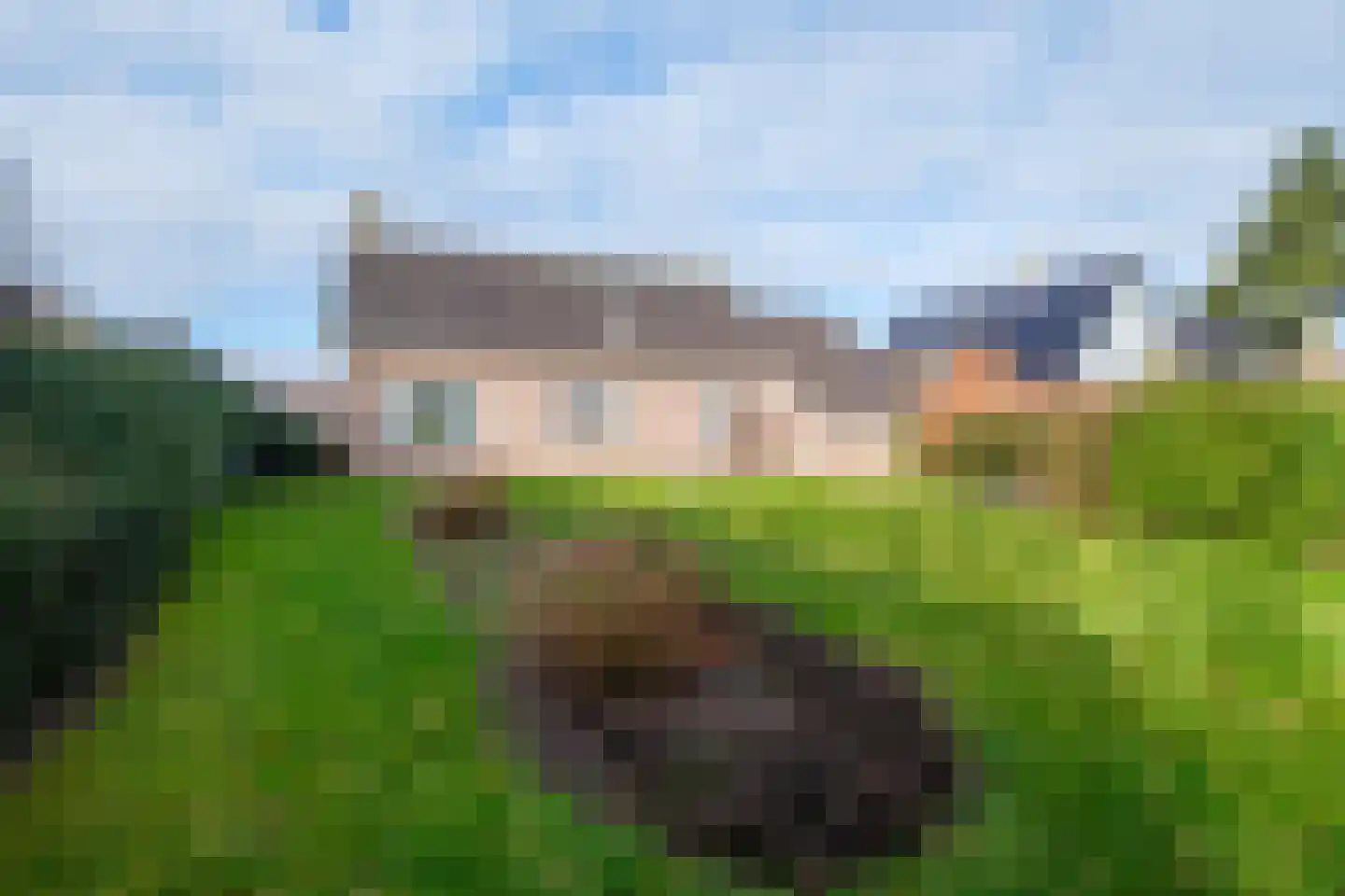 Lisdodde 46 Genemuiden thumbnail 40