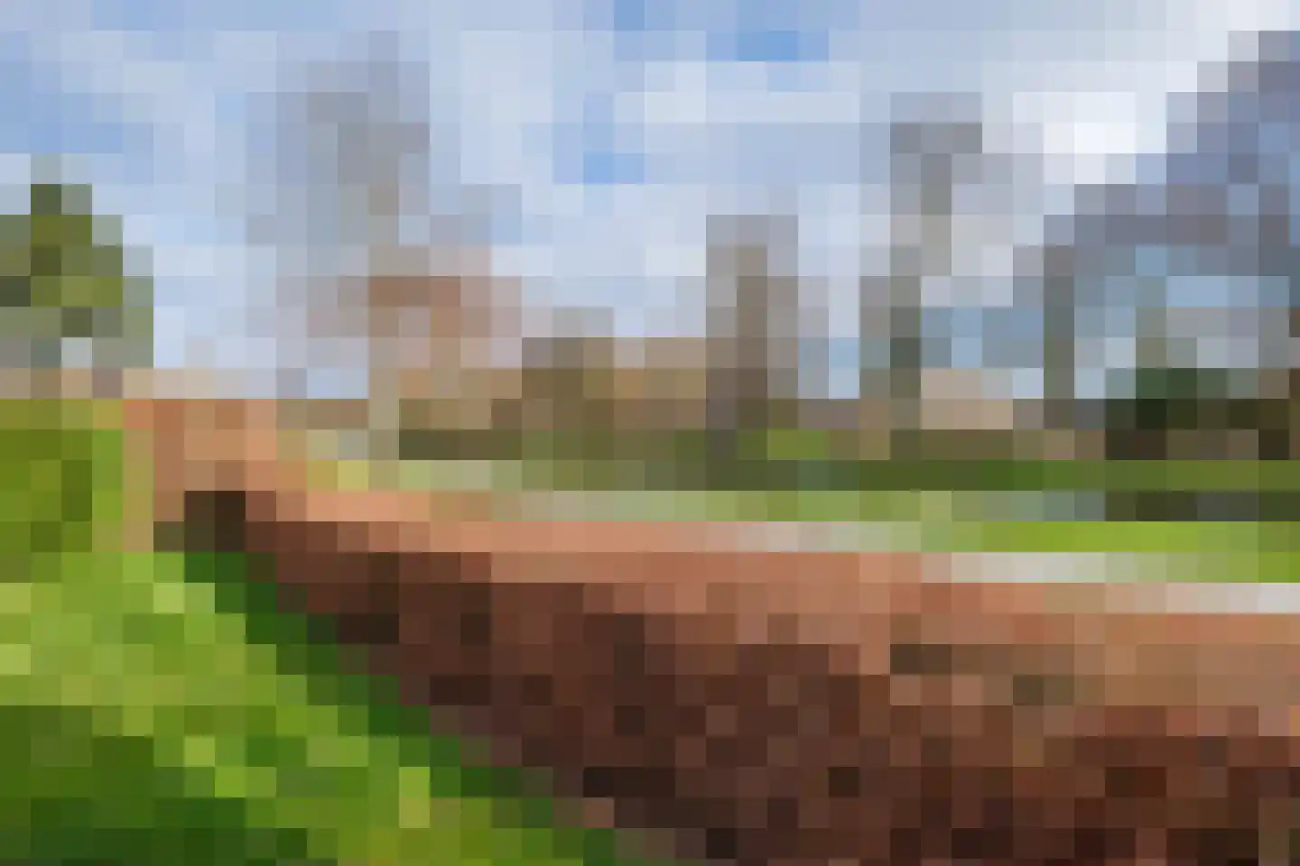 Lisdodde 46 Genemuiden thumbnail 42