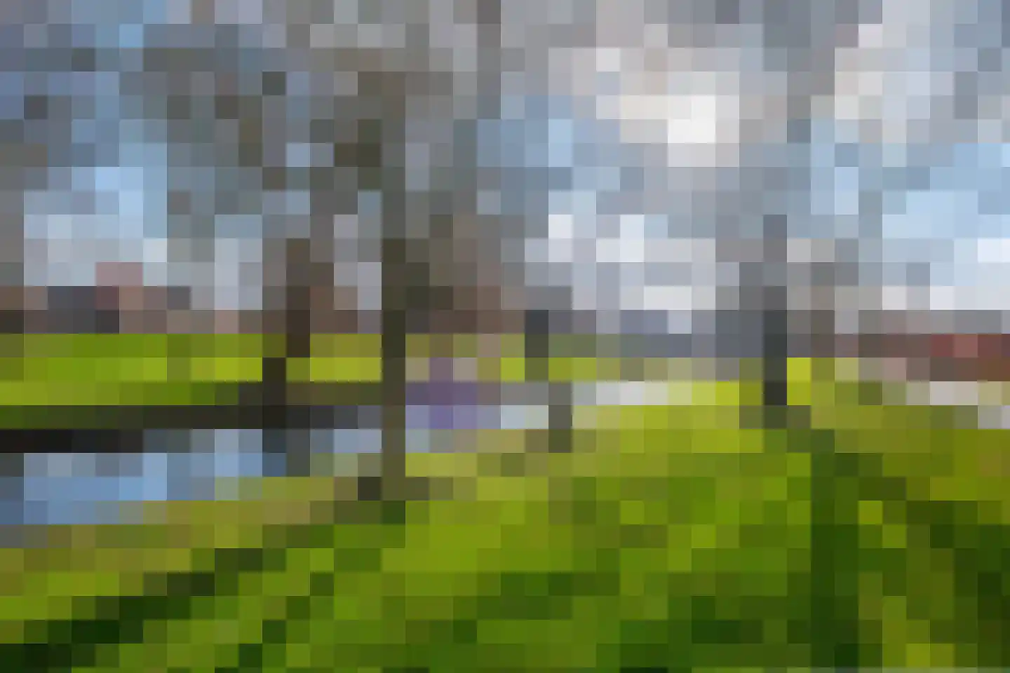 Lisdodde 46 Genemuiden thumbnail 44