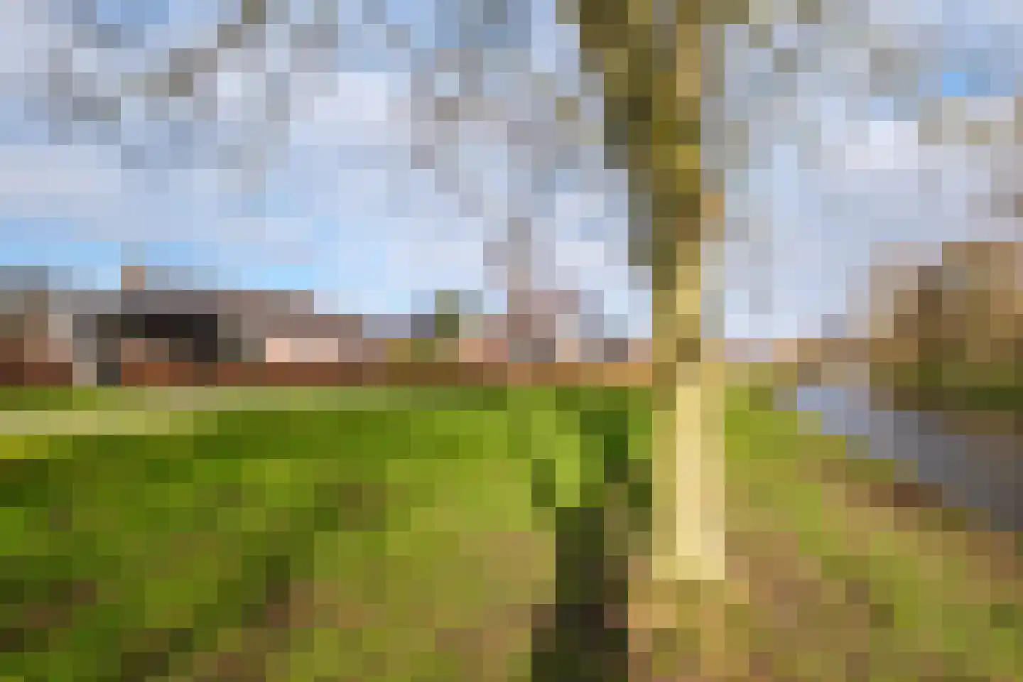 Lisdodde 46 Genemuiden thumbnail 45