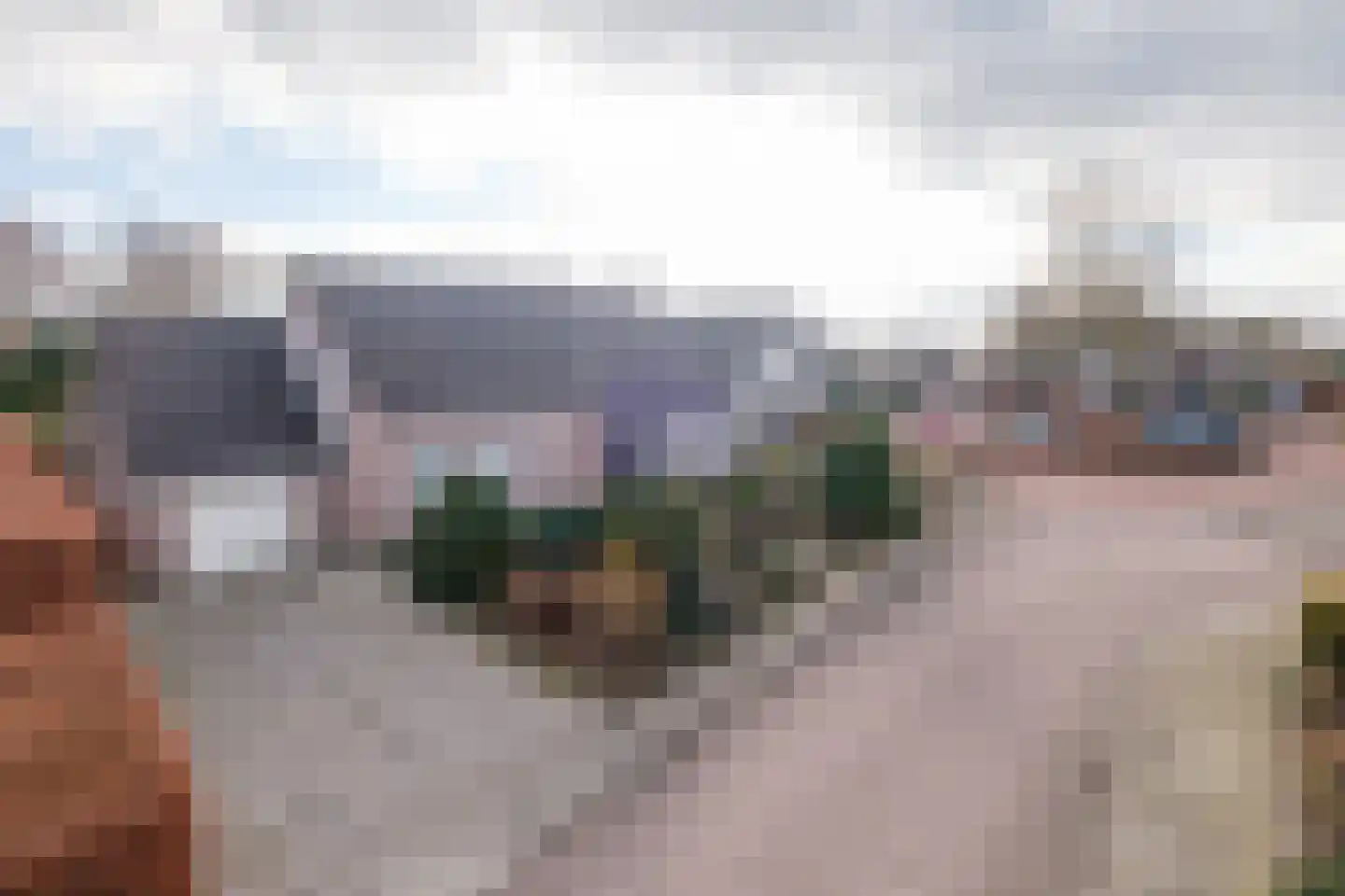 Lisdodde 46 Genemuiden thumbnail 49
