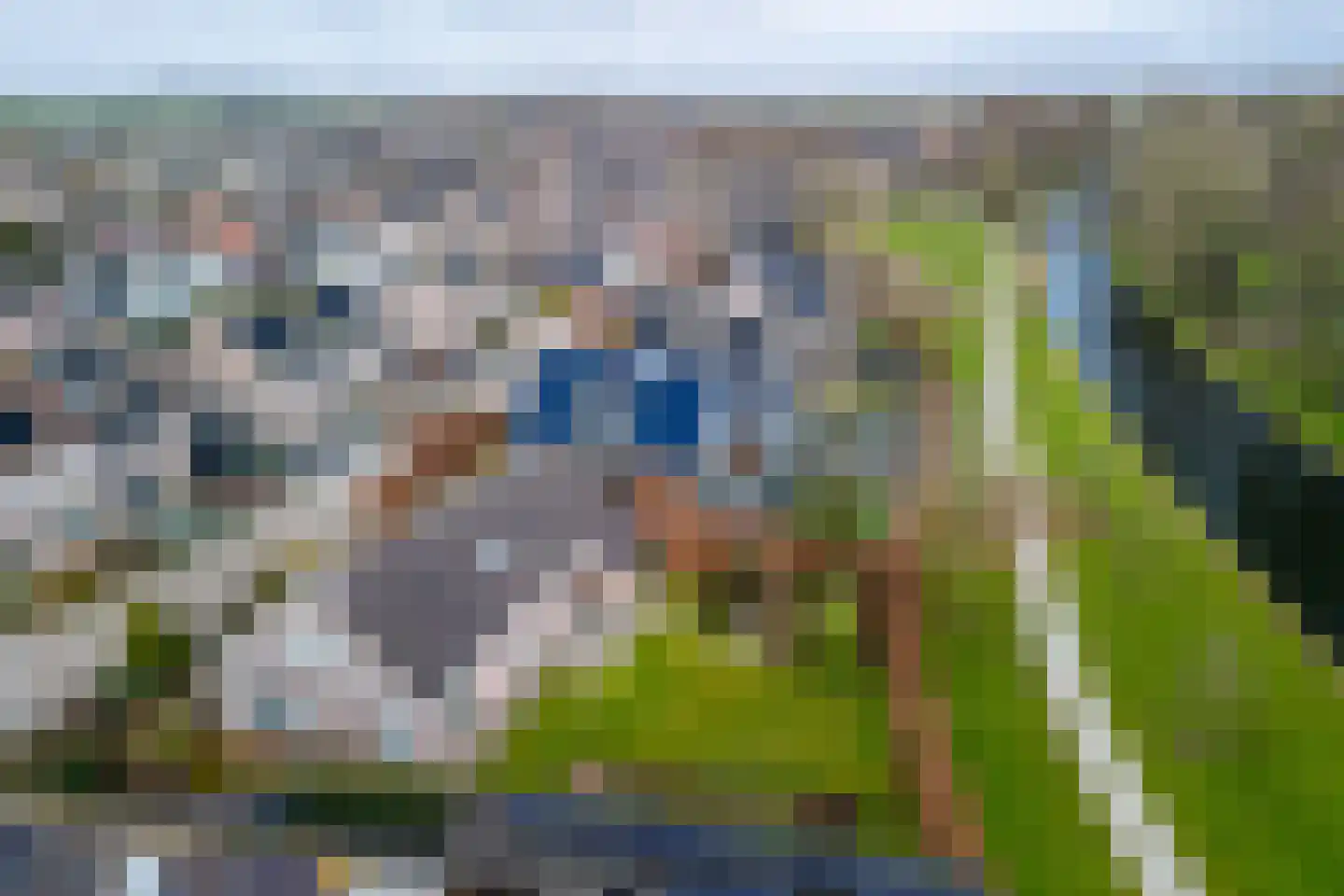 Lisdodde 46 Genemuiden thumbnail 5