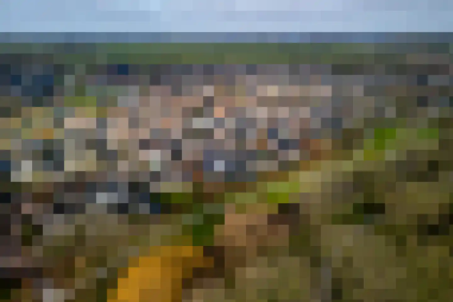 Lisdodde 46 Genemuiden thumbnail 8