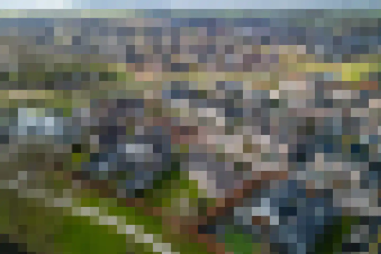 Lisdodde 46 Genemuiden thumbnail 9