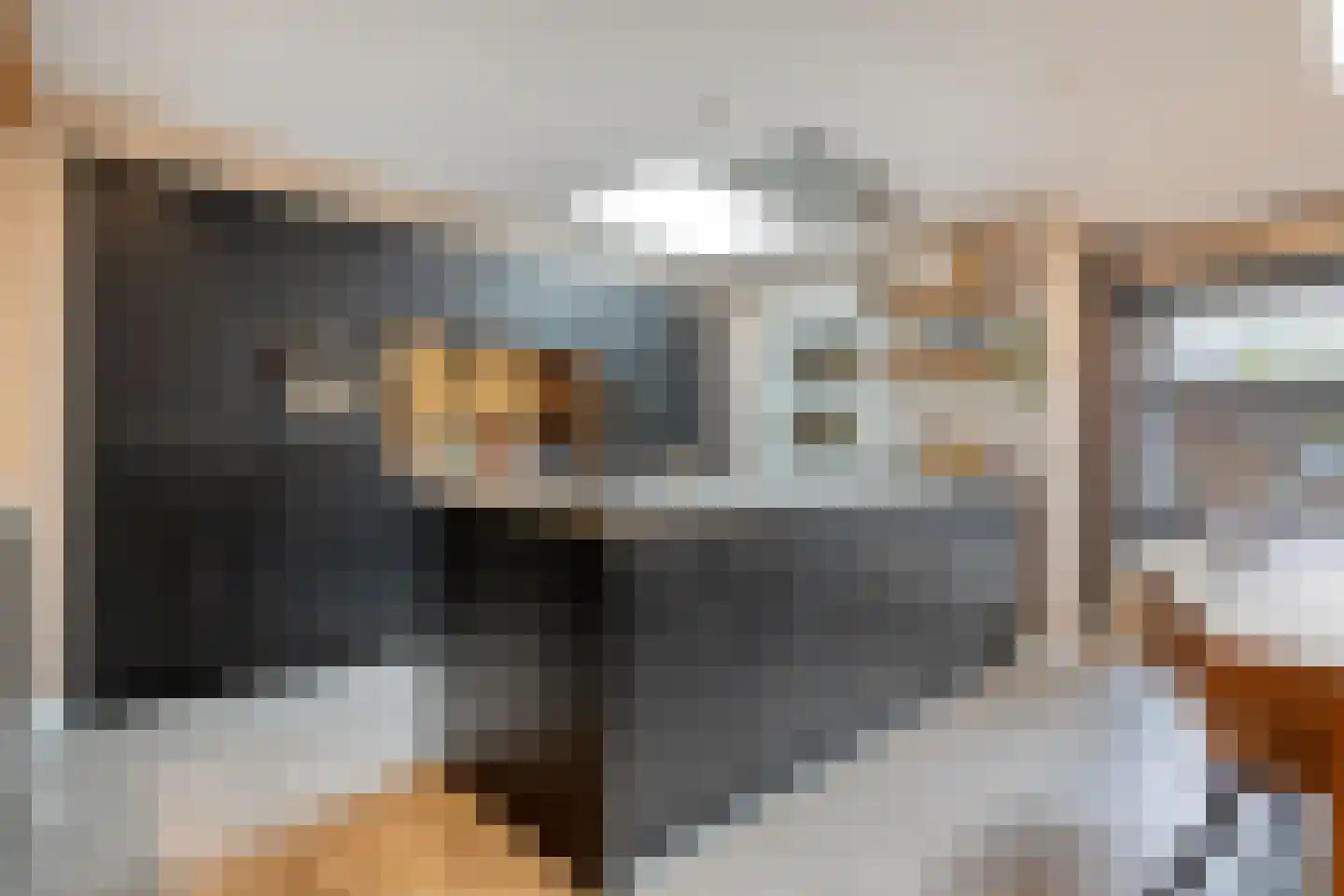 Lisdodde 5 Hardenberg thumbnail 11