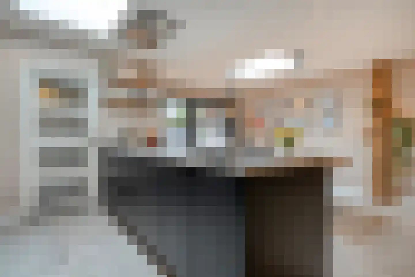 Lisdodde 5 Hardenberg thumbnail 12