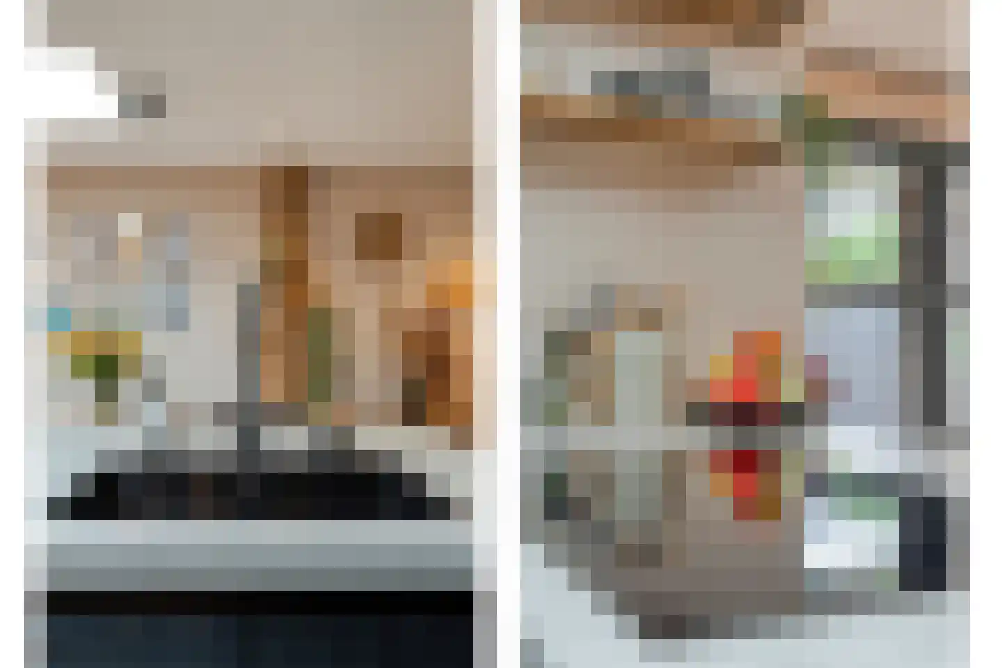 Lisdodde 5 Hardenberg thumbnail 13