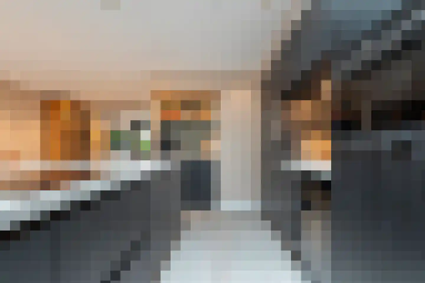 Lisdodde 5 Hardenberg thumbnail 14