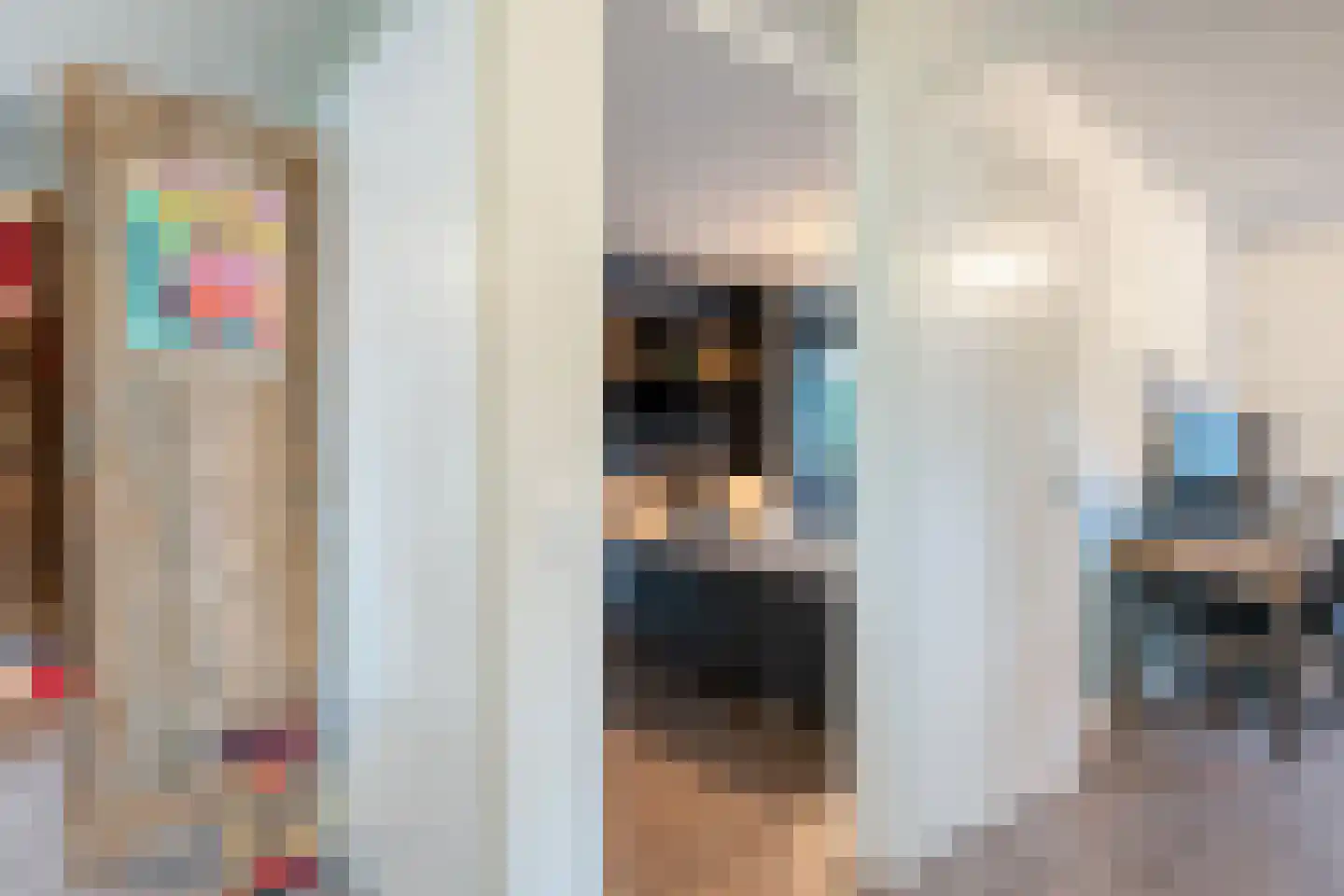 Lisdodde 5 Hardenberg thumbnail 21