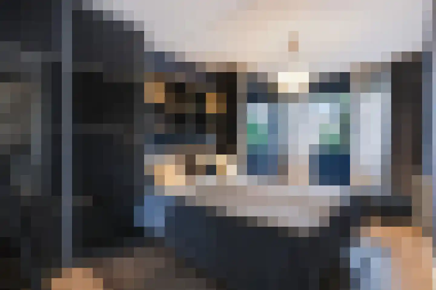 Lisdodde 5 Hardenberg thumbnail 22